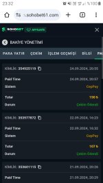 Screenshot_20240924-233201_Chrome.jpg