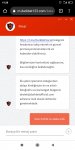Screenshot_2021-03-21-19-38-10-375_com.android.chrome.jpg