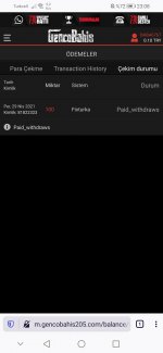 Screenshot_20210518_230822_org.mozilla.firefox.jpg